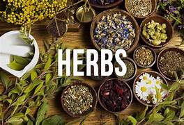 HERBS