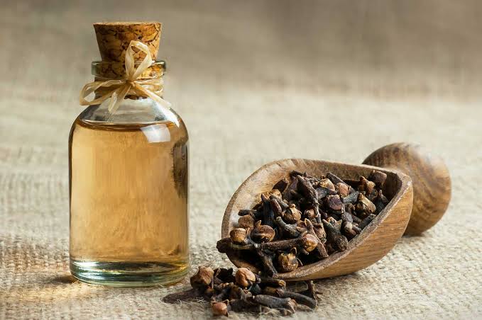 Clove oil لونگ کا تیل