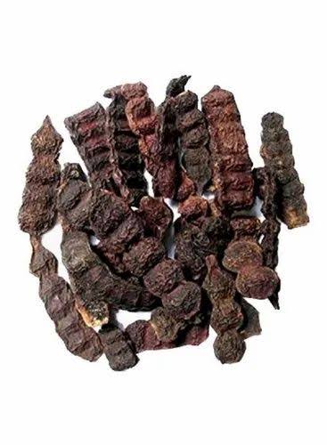 Dry Shikakai خشک سکاکائی