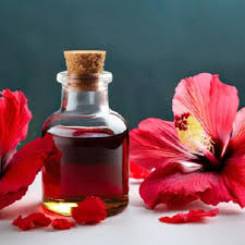 Hibiscus oil
