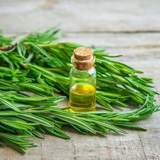 Rosemary oil (infused oil)
