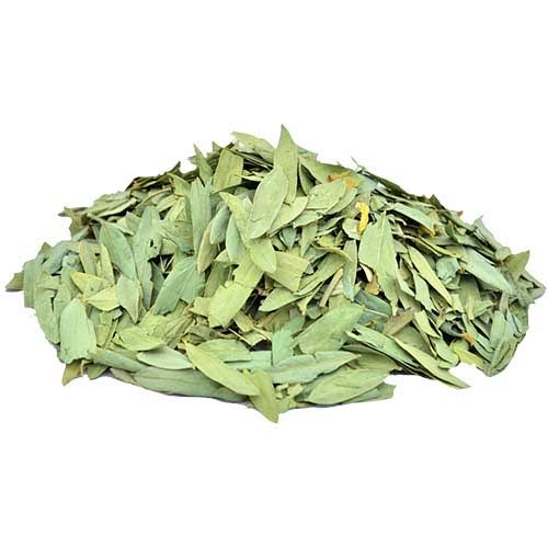 Senna leaves برگ سنا