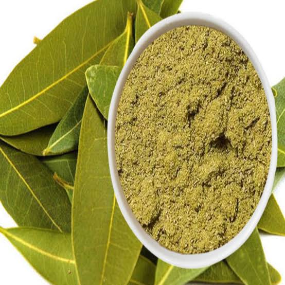 Bay leaves تیز پات ثابت