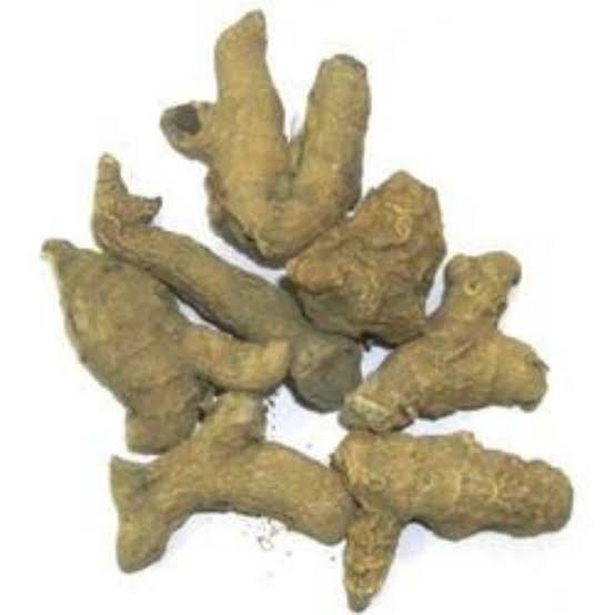 Nur kachur  ثابت نر کچور