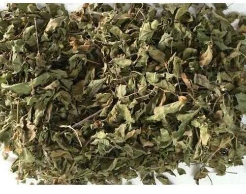 Tulsi  Holy Basil leave تلسی کی چائے