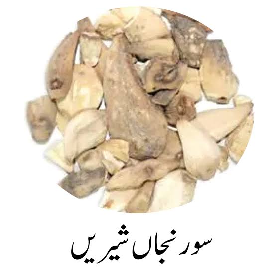 Suranjan Sherien سورنجاں شیریں ثابت