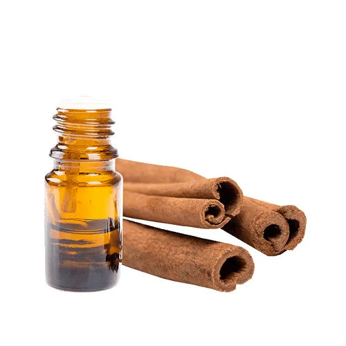 Cinnamon oilروغن دارچینی