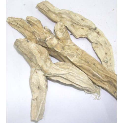 Behman Safaid بہمن سفید